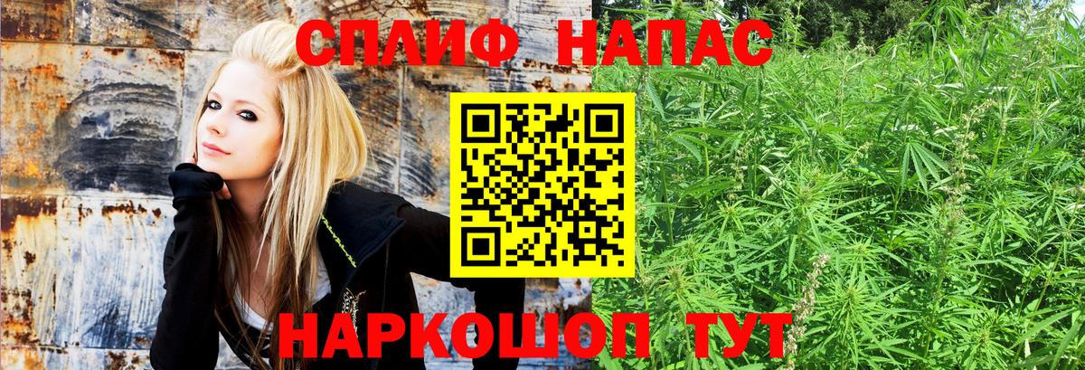 Шишки марихуана ГИДРОПОН  Вход с VPN  Каннабис OG Kush  Новоалександровск  Бошки Шишки Amnesia 